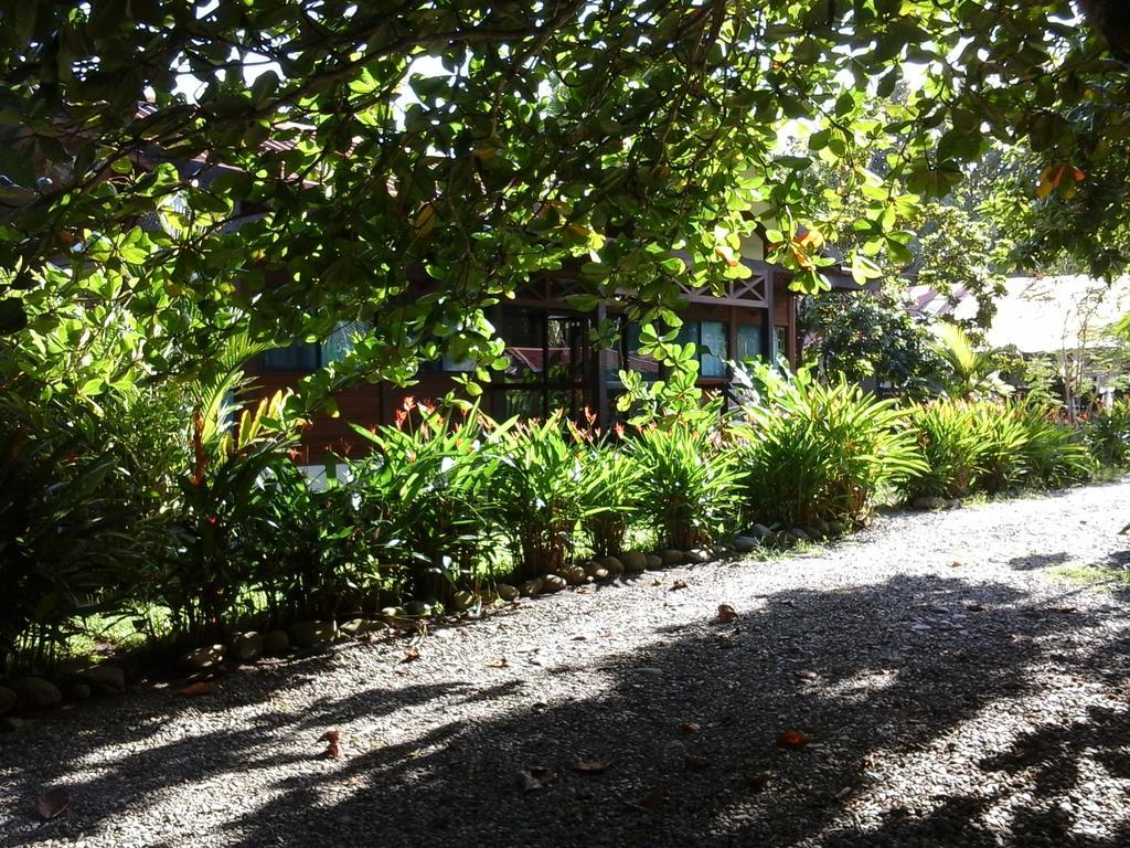 Kenaki Lodge Puerto Viejo de Talamanca Luaran gambar