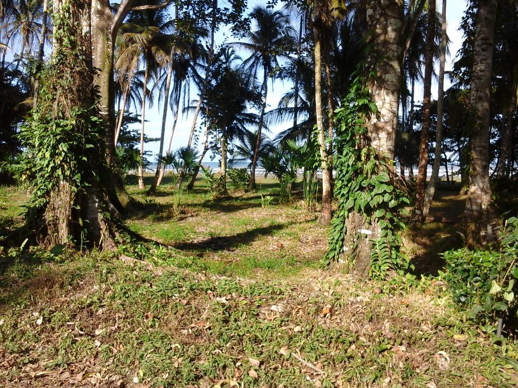 Kenaki Lodge Puerto Viejo de Talamanca Luaran gambar