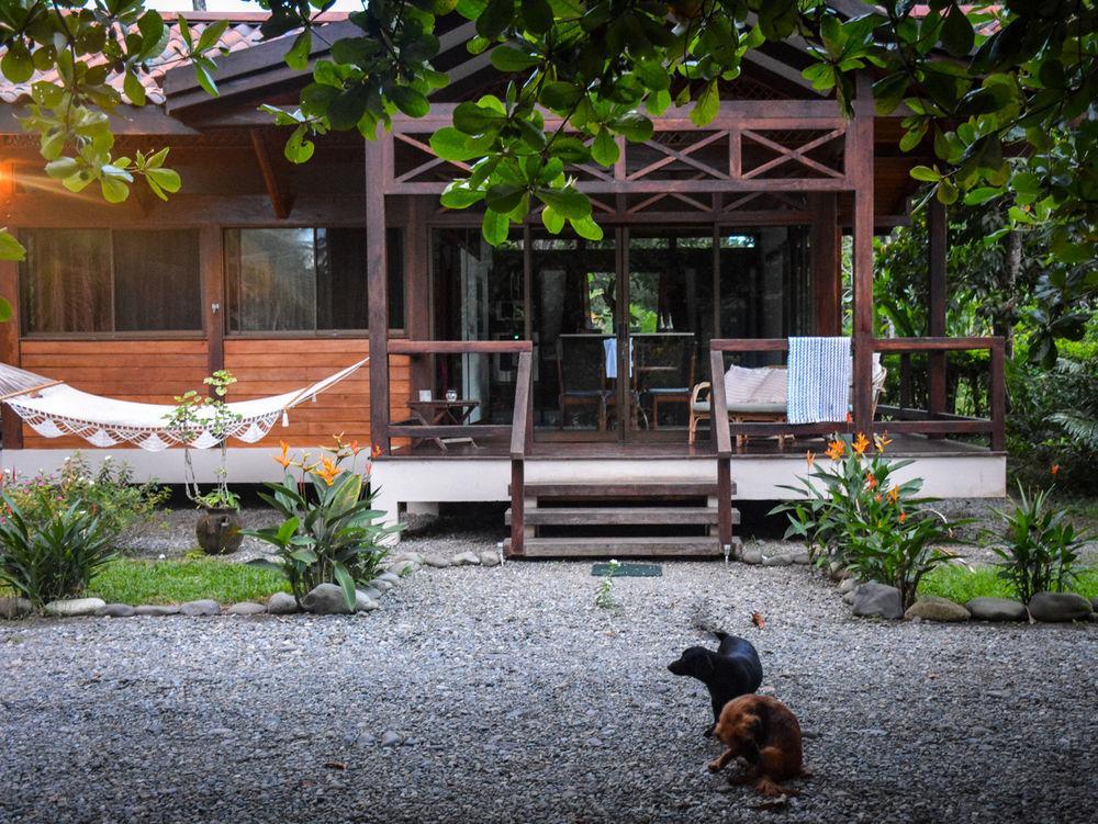 Kenaki Lodge Puerto Viejo de Talamanca Luaran gambar