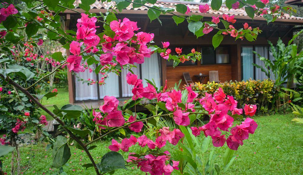 Kenaki Lodge Puerto Viejo de Talamanca Luaran gambar